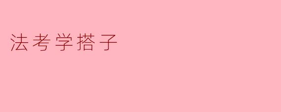 法考学搭子