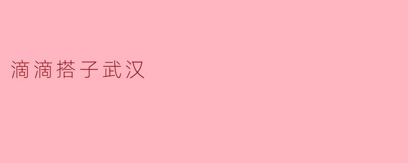 滴滴搭子武汉