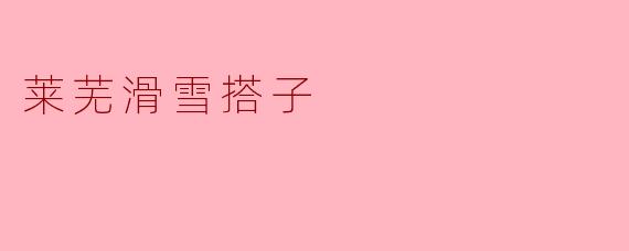### 探索莱芜滑雪搭子的魅力与乐趣