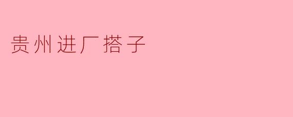 贵州进厂搭子是什么?**