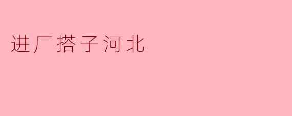 进厂搭子河北