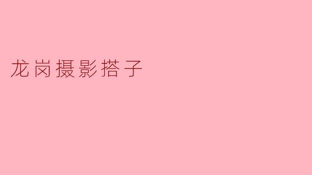 龙岗摄影搭子