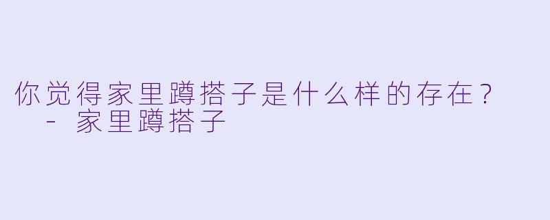 你觉得家里蹲搭子是什么样的存在？  