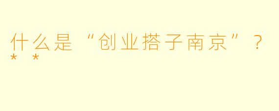 什么是“创业搭子南京”？**