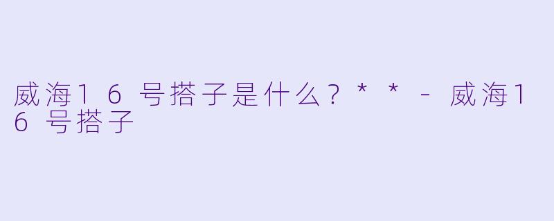 威海16号搭子是什么？**