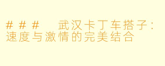 ### 武汉卡丁车搭子：速度与激情的完美结合