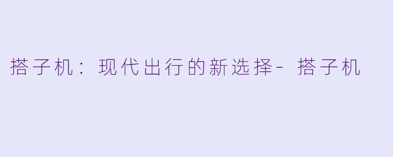 搭子机:现代出行的新选择-搭子机
