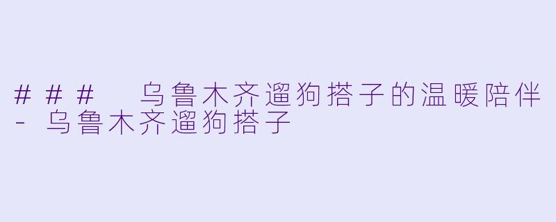 ### 乌鲁木齐遛狗搭子的温暖陪伴