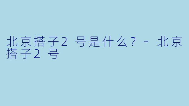 北京搭子2号是什么？