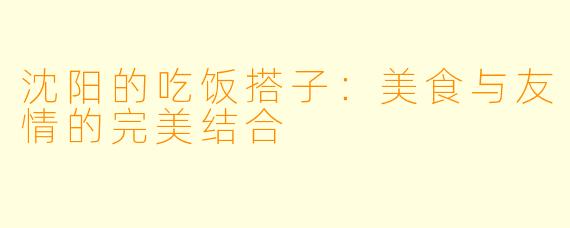 沈阳的吃饭搭子:美食与友情的完美结合