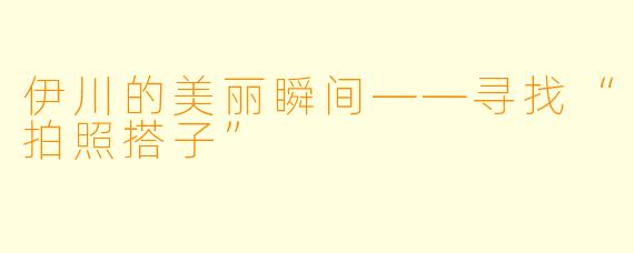 伊川的美丽瞬间——寻找“拍照搭子”