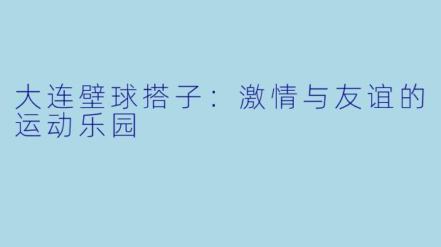大连壁球搭子：激情与友谊的运动乐园