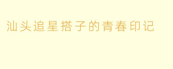 汕头追星搭子的青春印记