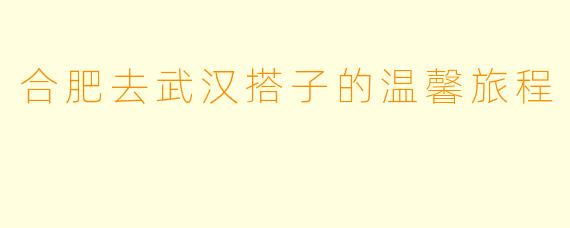 合肥去武汉搭子的温馨旅程