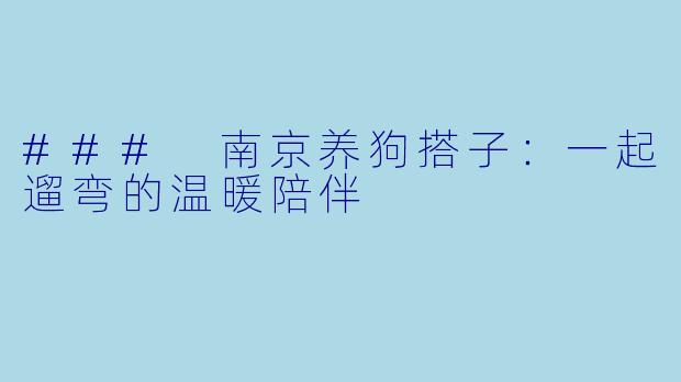 ### 南京养狗搭子：一起遛弯的温暖陪伴