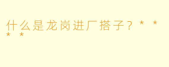 什么是龙岗进厂搭子？****