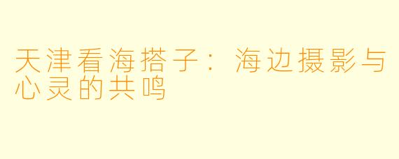 天津看海搭子：海边摄影与心灵的共鸣