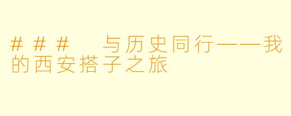 ### 与历史同行——我的西安搭子之旅