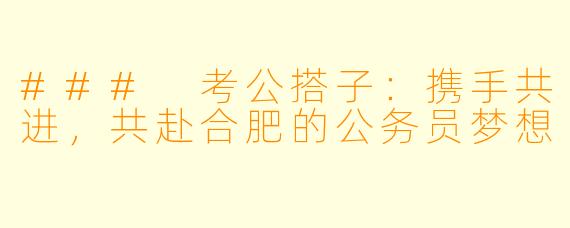 ### 考公搭子：携手共进，共赴合肥的公务员梦想