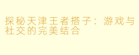 探秘天津王者搭子：游戏与社交的完美结合