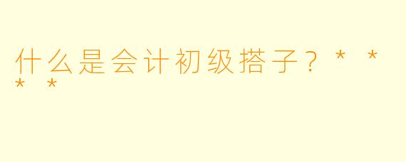 什么是会计初级搭子?****