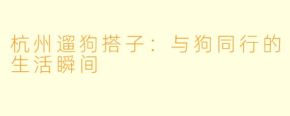 杭州遛狗搭子:与狗同行的生活瞬间
