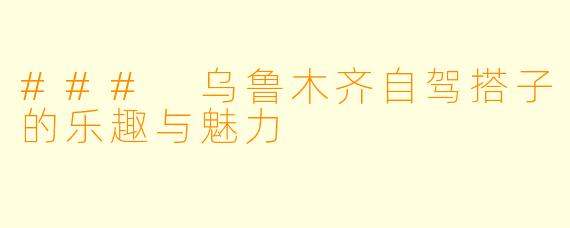 ### 乌鲁木齐自驾搭子的乐趣与魅力