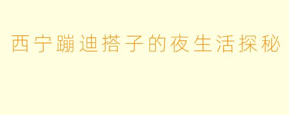 西宁蹦迪搭子的夜生活探秘