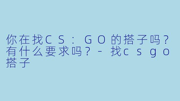 你在找CS:GO的搭子吗？有什么要求吗？