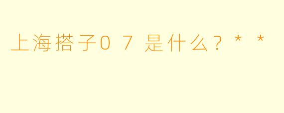 上海搭子07是什么?**