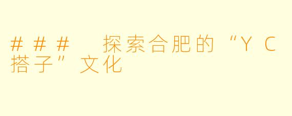 ### 探索合肥的“YC搭子”文化