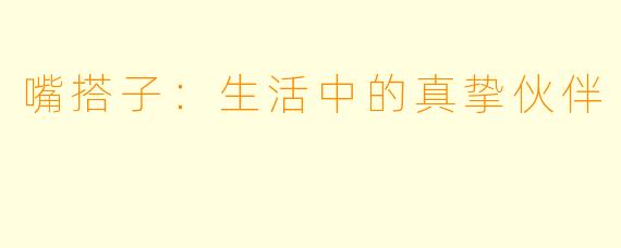 嘴搭子：生活中的真挚伙伴