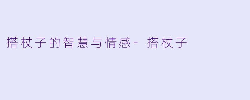 搭杖子的智慧与情感