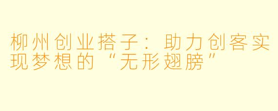 柳州创业搭子:助力创客实现梦想的“无形翅膀”