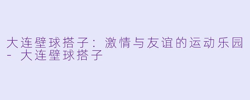 大连壁球搭子:激情与友谊的运动乐园