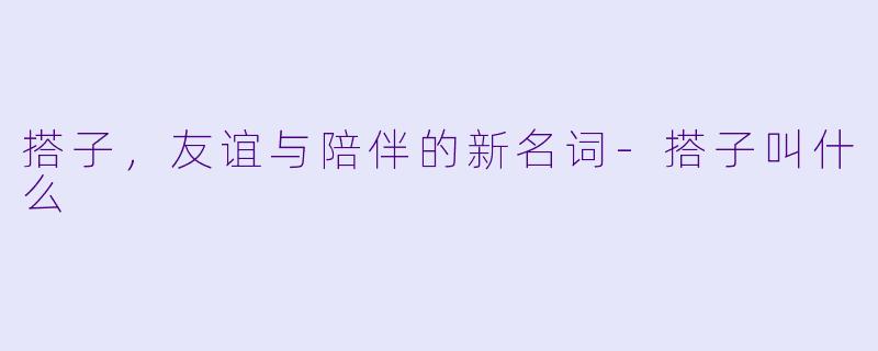 搭子，友谊与陪伴的新名词-搭子叫什么