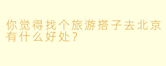 你觉得找个旅游搭子去北京有什么好处？