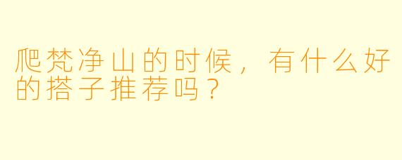 爬梵净山的时候，有什么好的搭子推荐吗？