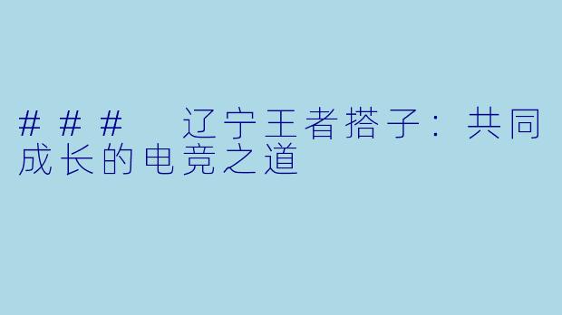 ### 辽宁王者搭子：共同成长的电竞之道