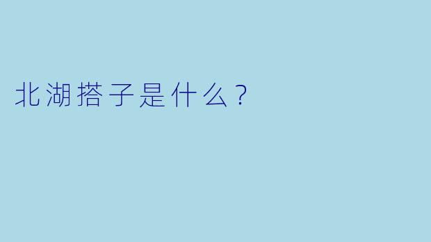 北湖搭子是什么？