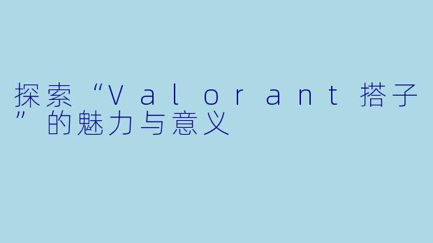探索“Valorant搭子”的魅力与意义