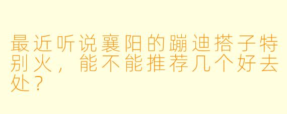 最近听说襄阳的蹦迪搭子特别火，能不能推荐几个好去处？