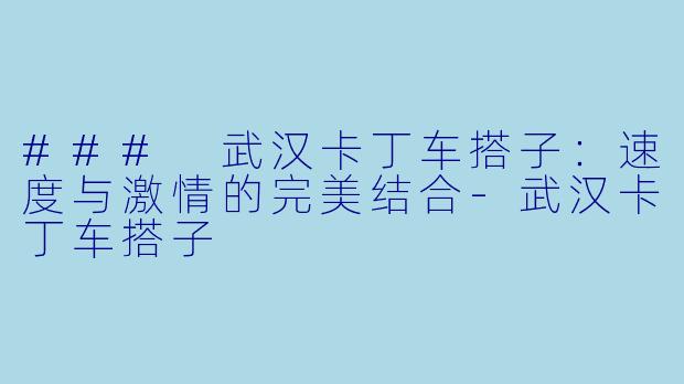 ### 武汉卡丁车搭子:速度与激情的完美结合