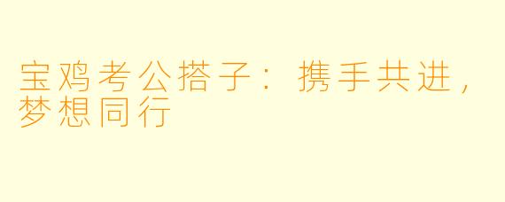 宝鸡考公搭子:携手共进,梦想同行