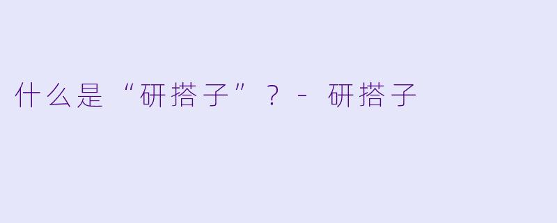 什么是“研搭子”？