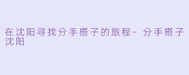 在沈阳寻找分手搭子的旅程