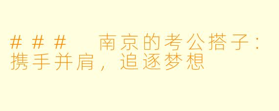 ### 南京的考公搭子:携手并肩,追逐梦想