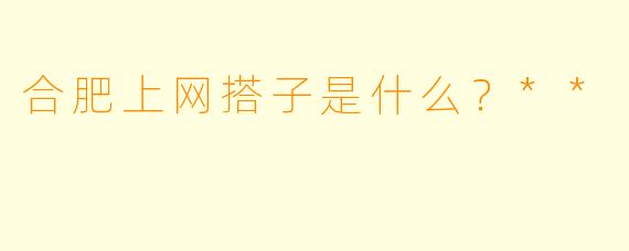 合肥上网搭子是什么？**