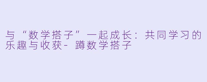 与“数学搭子”一起成长：共同学习的乐趣与收获