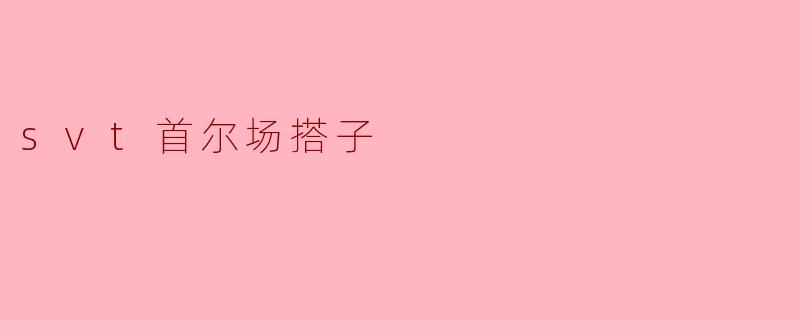 SVT在首尔场的搭子是谁？****